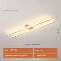 HEIKESZ Modern Strip Ceiling Light Simple Luxury Corridor Lamp for Cloakroom Balcony Entrance Lighting