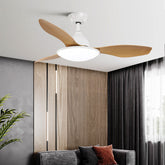 HEIKESZ Nordic 42 52 Inch Ceiling Fan with LED Light Modern Minimalist Noiseless Frequency Conversion Fan for Living Room Bedroom Restaurant