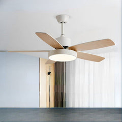 HEIKESZ Smart Nordic Ceiling Fan Lamp with Frequency Conversion for Living Room Dining Room Bedroom