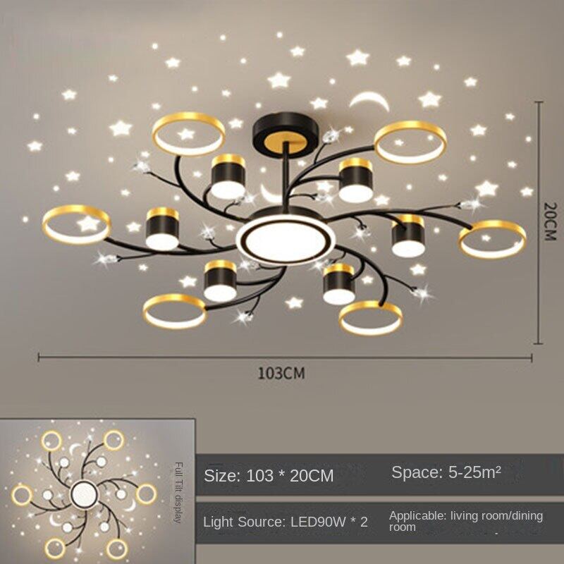 HEIKESZ Modern Starry Sky Projection Ceiling Lamp for Living Room Bedroom Coffee Shop Nordic Style Star Light