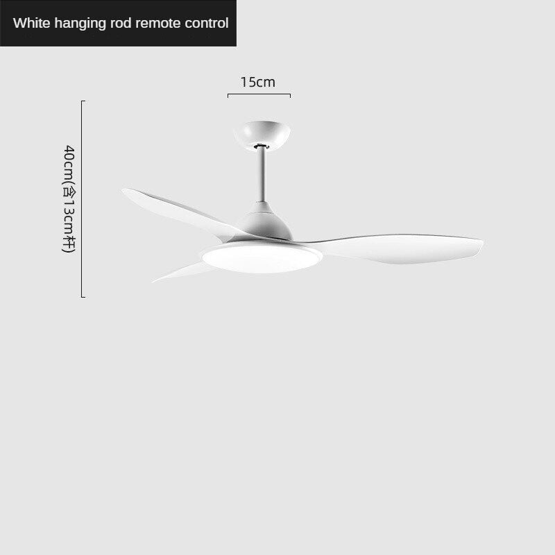 HEIKESZ Nordic 42 52 Inch Ceiling Fan with LED Light Modern Minimalist Noiseless Frequency Conversion Fan for Living Room Bedroom Restaurant