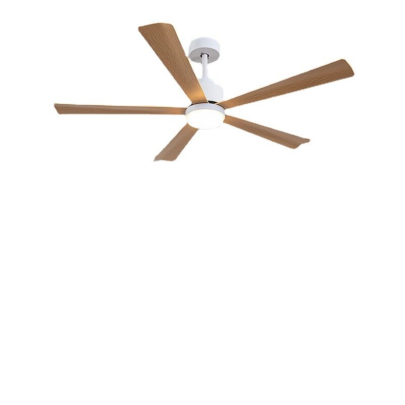 HEIKESZ Nordic 2023 New Ceiling Fan with LED Light Remote Control Modern Minimalist Design for Living Room Dining Room Bedroom