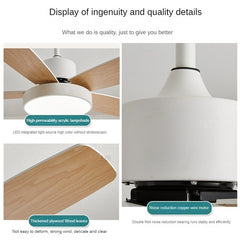 HEIKESZ Smart Nordic Ceiling Fan Lamp with Frequency Conversion for Living Room Dining Room Bedroom