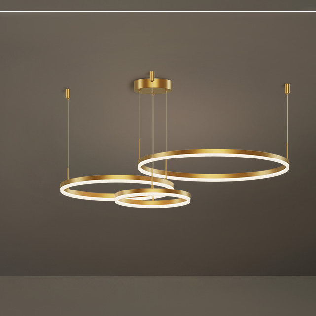 HEIKESZ Modern Minimalist Round Chandelier LED Ceiling Light for Living Room Bedroom Dining Room Nordic Warm Lighting