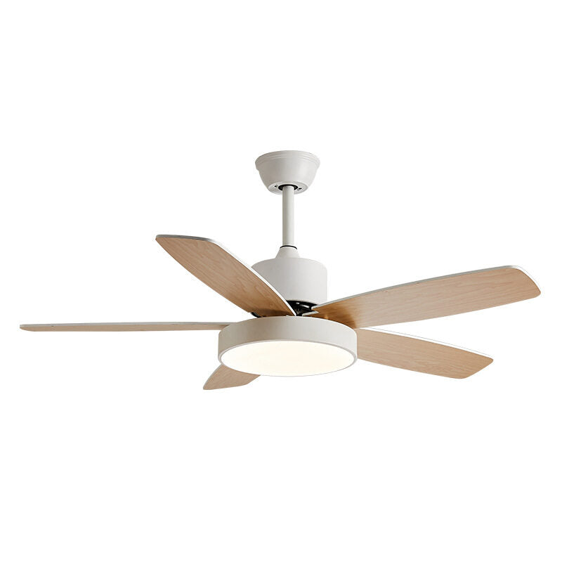 HEIKESZ Smart Nordic Ceiling Fan Lamp with Frequency Conversion for Living Room Dining Room Bedroom