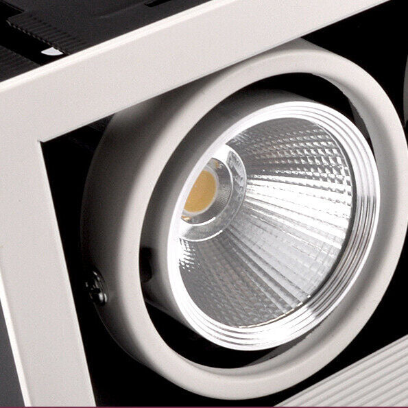 HEIKESZ Led Bean Container Lamp Double Head Three Head 7w10w Embedded Ceiling Spotlight Simple Downlight for Clothing Store Living Room Indoor Lighting