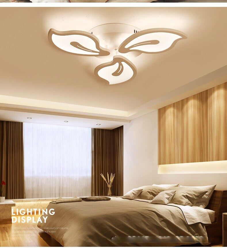 HEIKESZ LED Ceiling Light Modern Minimalist Design for Living Room Dining Room Bedroom Study Warm Light Chandelier Room Lighting