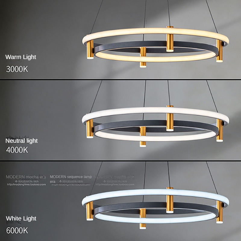 HEIKESZ Minimalist Ring Chandelier Modern Luxury Living Room Bedroom Dining Room Lighting Fixture Creative Designer Art Lamp