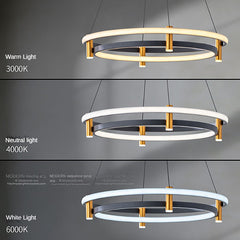 HEIKESZ Minimalist Ring Chandelier Modern Luxury Living Room Bedroom Dining Room Lighting Fixture Creative Designer Art Lamp