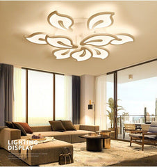 HEIKESZ LED Ceiling Light Modern Minimalist Design for Living Room Dining Room Bedroom Study Warm Light Chandelier Room Lighting