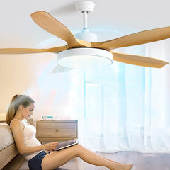 HEIKESZ Simple Nordic Ceiling Fan Light 48 52 60 Inch Large Wind Remote Control Frequency Conversion for Household Living Room