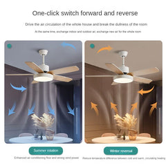 HEIKESZ Smart Nordic Ceiling Fan Lamp with Frequency Conversion for Living Room Dining Room Bedroom